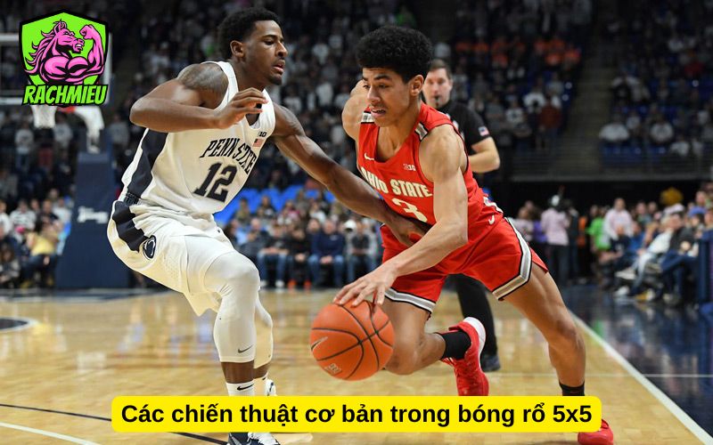 Các chiến thuật cơ bản trong bóng rổ 5x5