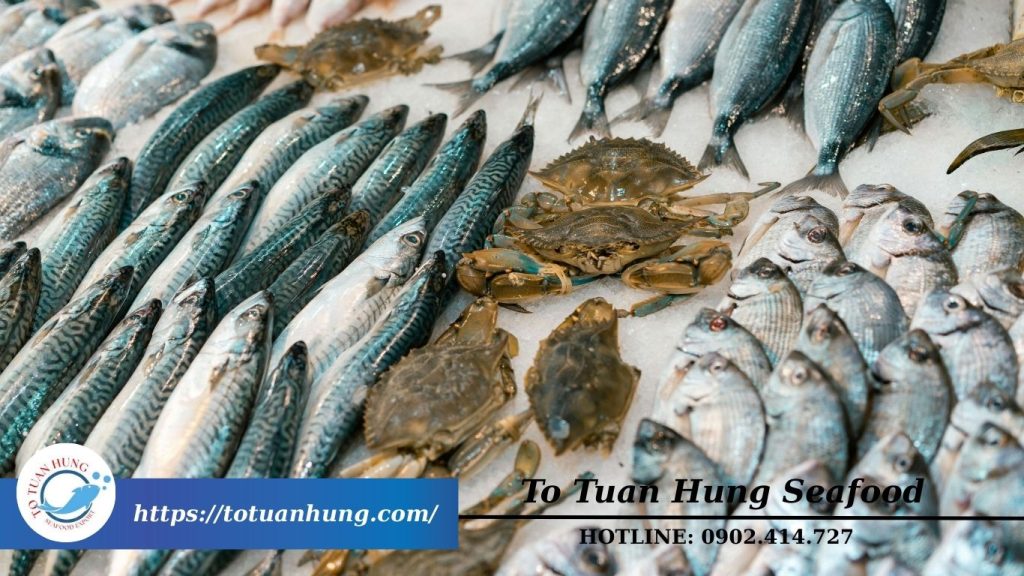 bao tử cá ba sa là gì?