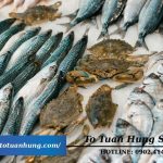 Bao tử cá ba sa là gì? Công dụng và giá trị dinh dưỡng chi tiết