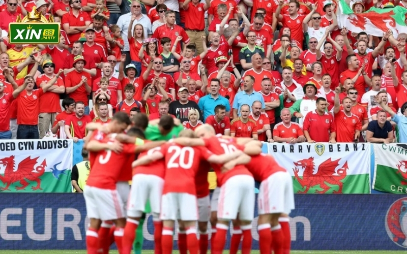 Bóng đá và Bản sắc quốc gia: Sức mạnh gắn kết triệu trái tim cùng nhịp đập.