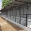 Hướng dẫn cách làm chuồng nuôi gà chọi thông thoáng và hạn chế dịch bệnh