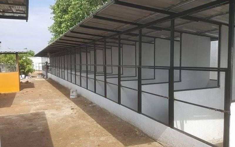Hướng dẫn cách làm chuồng nuôi gà chọi thông thoáng và hạn chế dịch bệnh